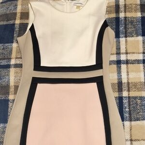 Calvin Klein Mini Dress in Cream, Black, and Pink